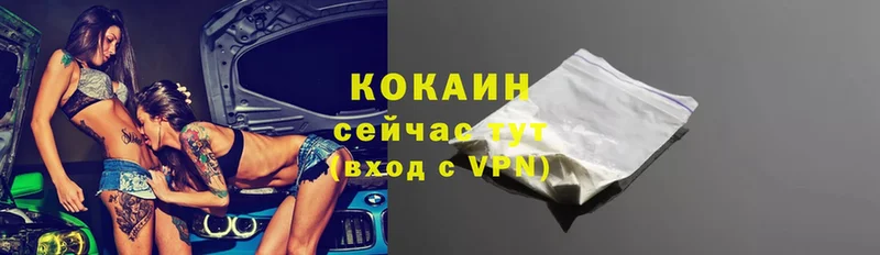 darknet официальный сайт  кракен tor  Кингисепп  КОКАИН Fish Scale 