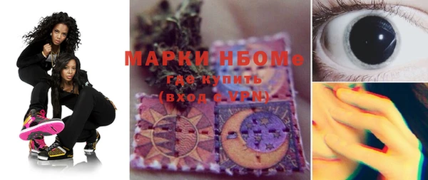 амф Няндома