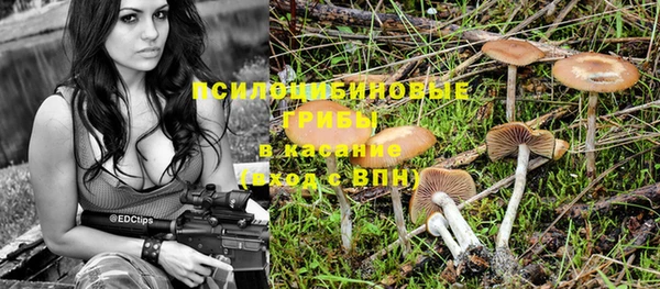гидра Нягань