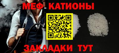 шишки Дубна