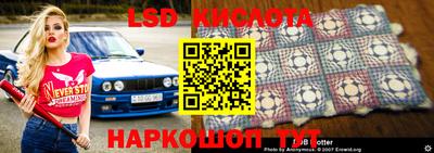 индика Заволжье