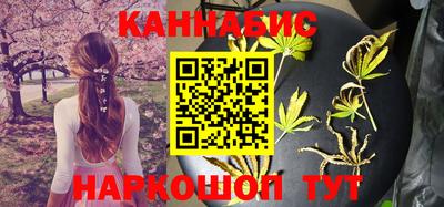 шишки Дубна
