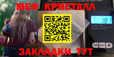 шишки Дубна