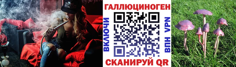 наркота  Кингисепп  маркетплейс какой сайт  Псилоцибиновые грибы ЛСД 