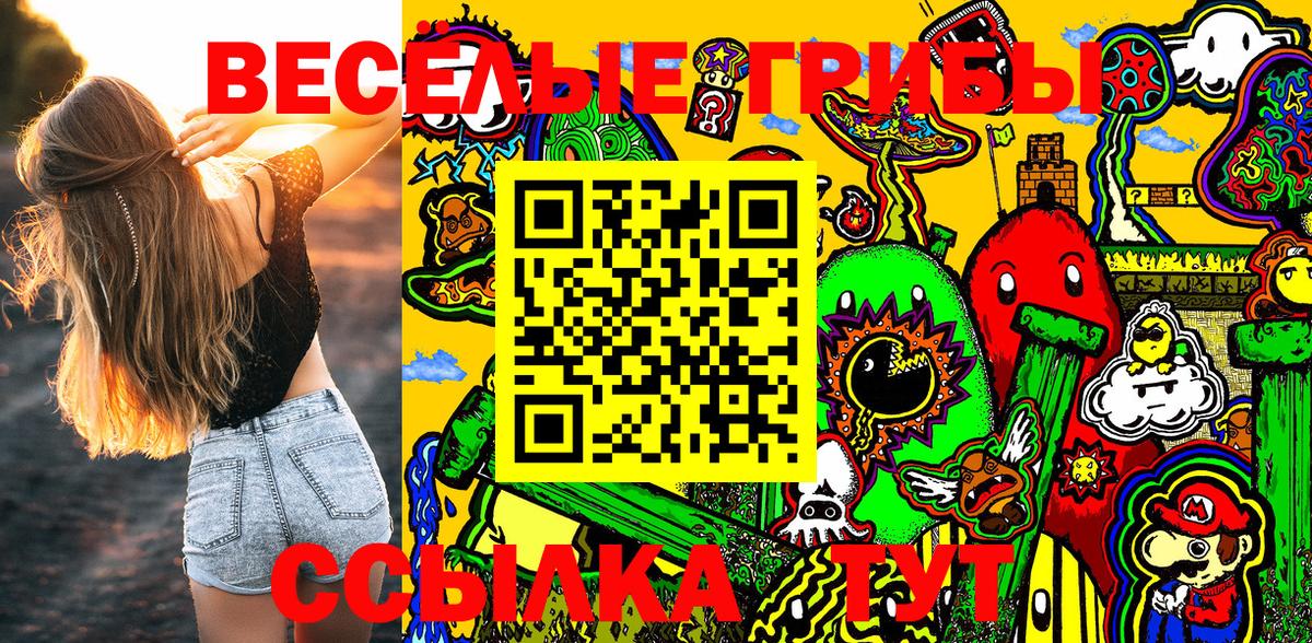 Псилоцибиновые грибы Psilocybe  Кингисепп 