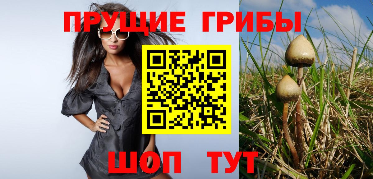 Кингисепп  Галлюциногенные грибы ЛСД  Галлюциногенные грибы мицелий  Вход с VPN 