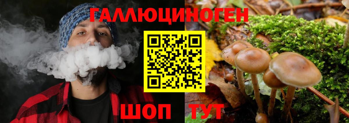 МЕТ  Мяу-Мяу  Хэш  Вход с VPN  Марихуана  ГАШ  Экстази  Мяу-Мяу  Канабис  Кингисепп  Хмурый  COCAIN 